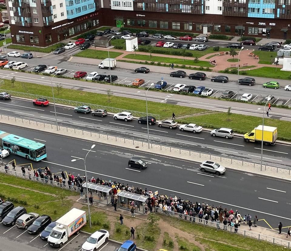 Толпа на остановке в Приморском районе ужасает. Автобус ждут сотни людей |  07.09.2022 | Санкт-Петербург - БезФормата