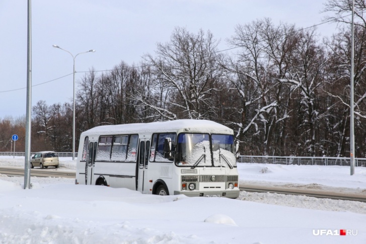 Автобусы ПАЗ-3205 обрели вечный покой Автобусы ПАЗ-3205 обрели вечный покой