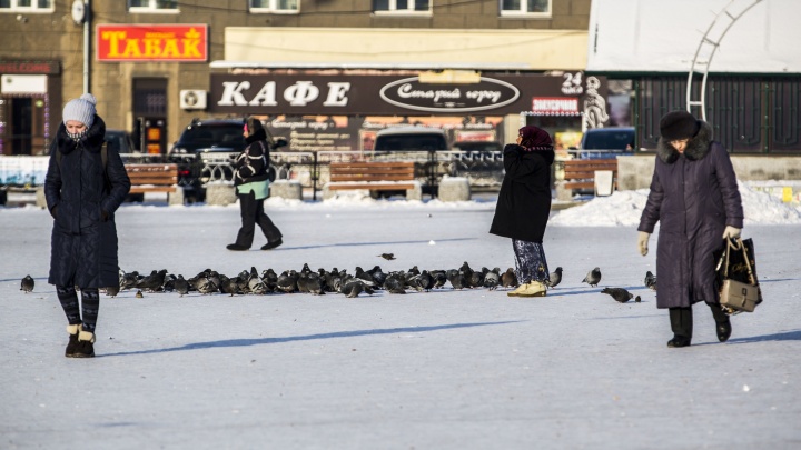 Плюсовые температуры и снегопад: погода в Новосибирске на грядущую неделю
