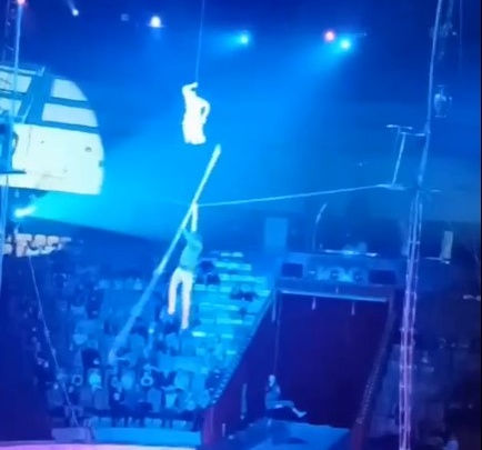 В цирке Тюмени канатоходец упал с высоты на глазах у зрителей