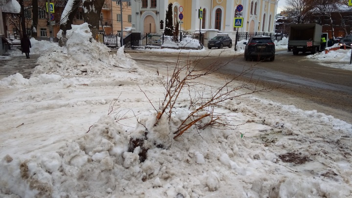 Снегоуборочная техника повредила клумбы и зеленые насаждения в квартале церкви Трех Святителей