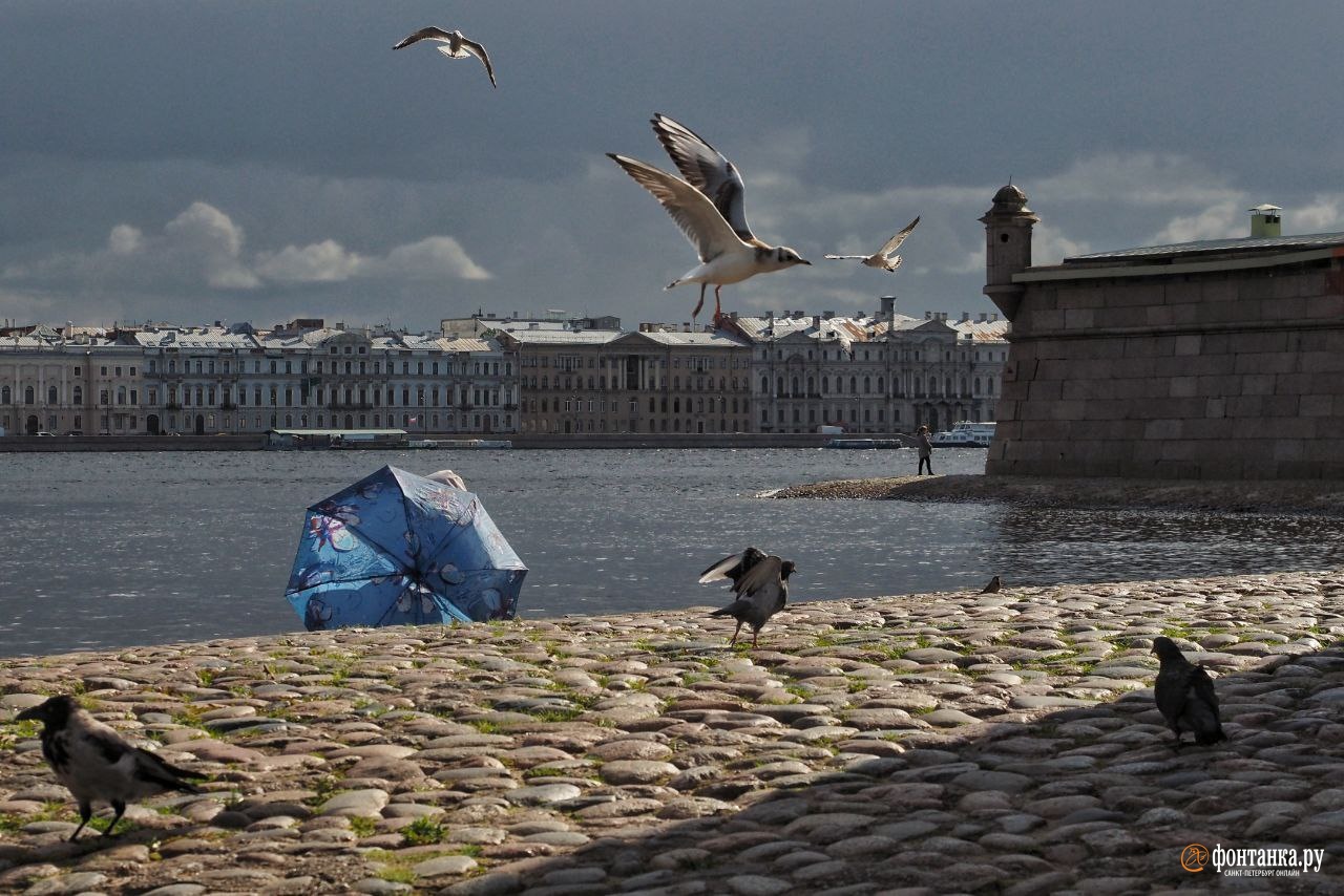 Погода 13 мая спб. Фонтанка 13. Холодный май в Питере. Мобилизованные Петербург.