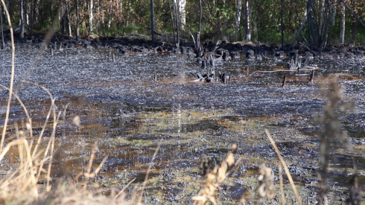 В Ярославле нашли нефтяное озеро: что с ним стало за три года