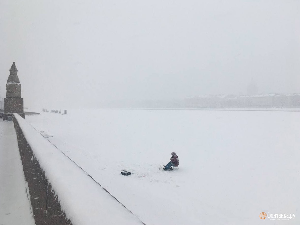 Снегопад, чтобы ты заплакала. В Петербурге грядет очередной коллапс из-за погоды