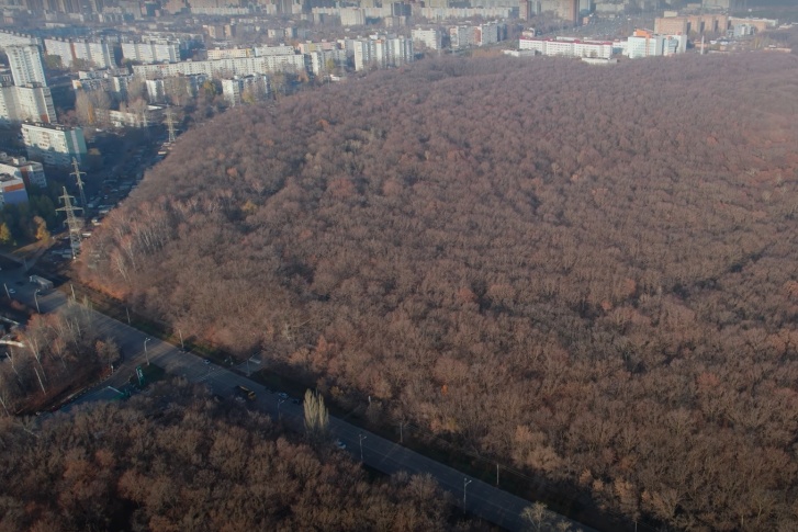 Парк обещают защитить, но получится ли? Парк обещают защитить, но получится ли?