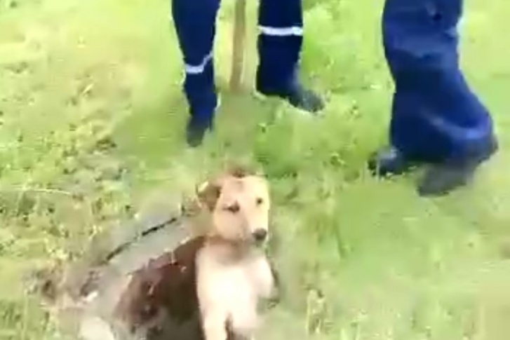 На место приехали спасатели На место приехали спасатели