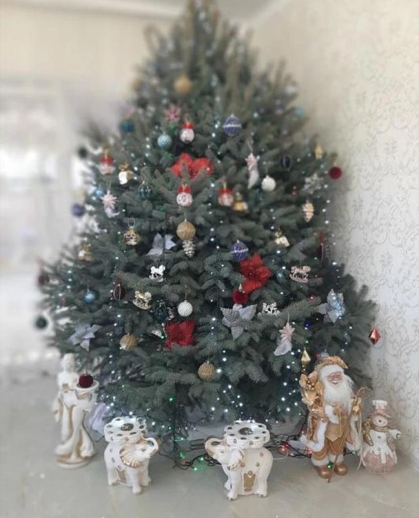 Фотографиями своих новогодних елок цыгане делятся в соцсетях