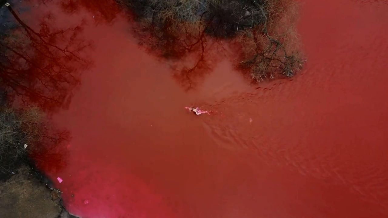 Кровавые водоросли. Кровавый пруд. Кровавый цвет. Кровавый водоём. Кровавый пруд Китай.
