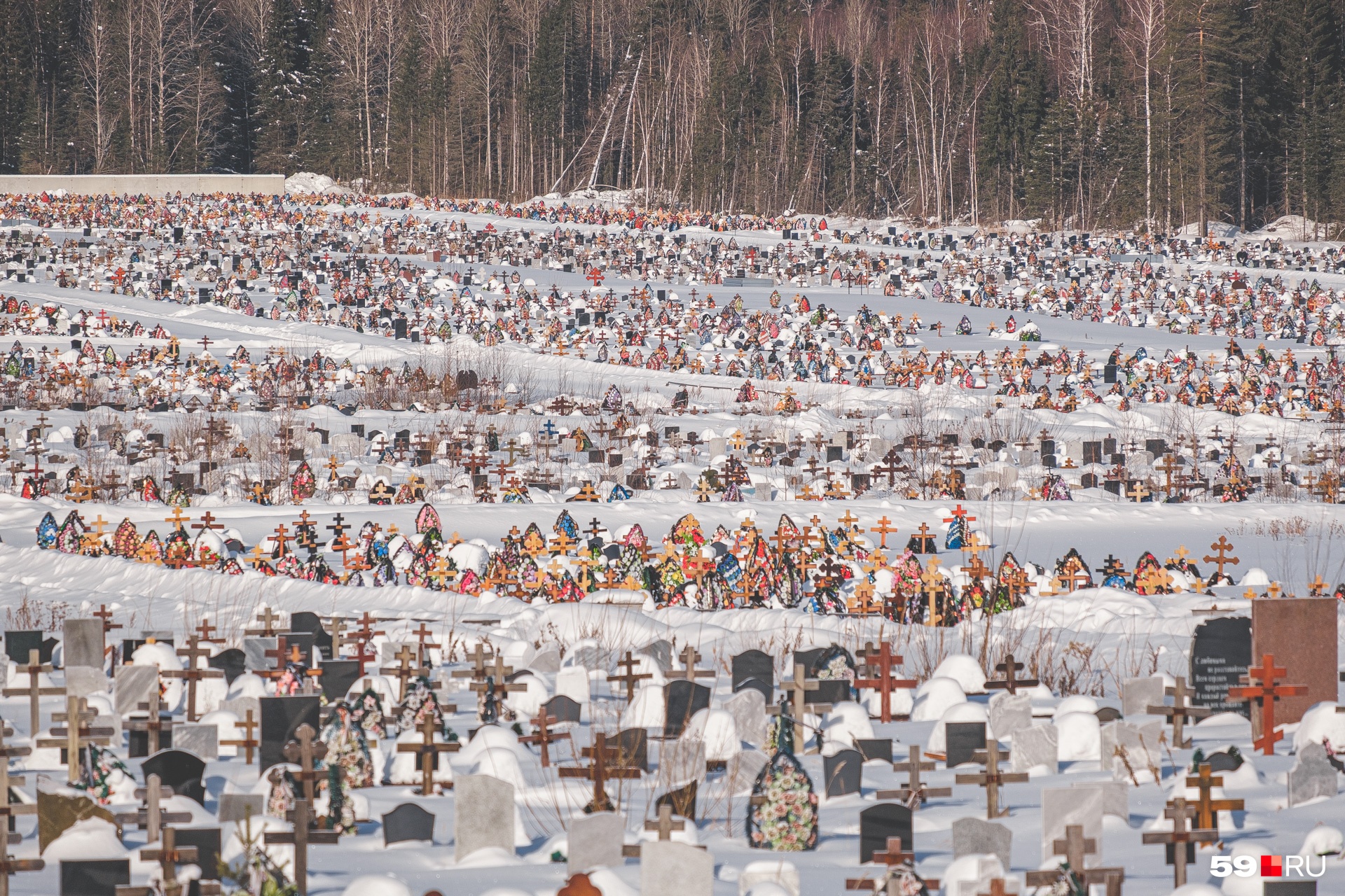 На этой фотографии можно оценить, насколько кладбище большое