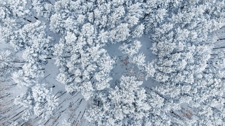 «Сибирская красота»: новосибирский фотограф снял с высоты заснеженный Академгородок — 5 завораживающих кадров