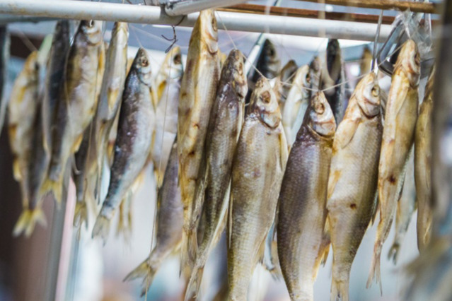 В рыбе и мясе может попасться всякое. И всякие В рыбе и мясе может попасться всякое. И всякие