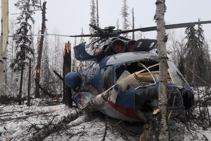 Вертолет зацепил и буквально разрубил деревья, воздушное судно серьезно пострадало