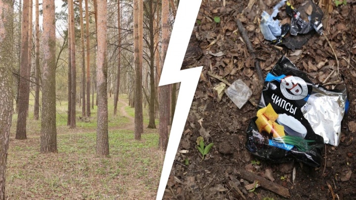 Прошел месяц после весенних субботников в Ярославле: угадайте, где сейчас грязнее всего