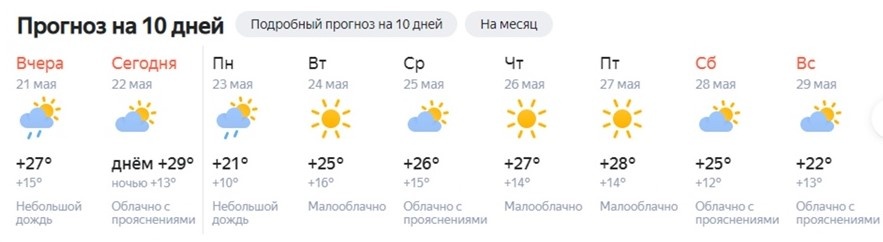Дождь или жара: какая будет следующая неделя в Новосибирске — изучаем погодные сервисы