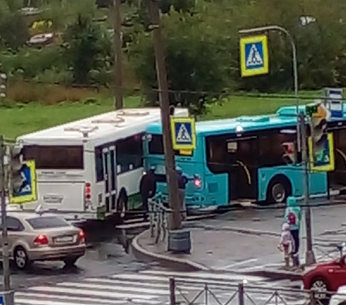 Водитель автобуса не поделил остановку с коллегой и заблокировал улицу в Красном Селе