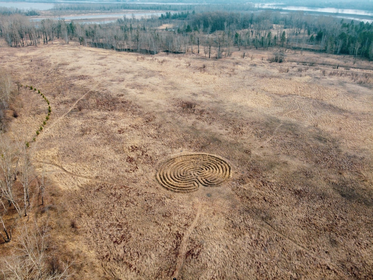 В дикой части Татышева обнаружили огромные круги на земле: кто их сделал и зачем?
