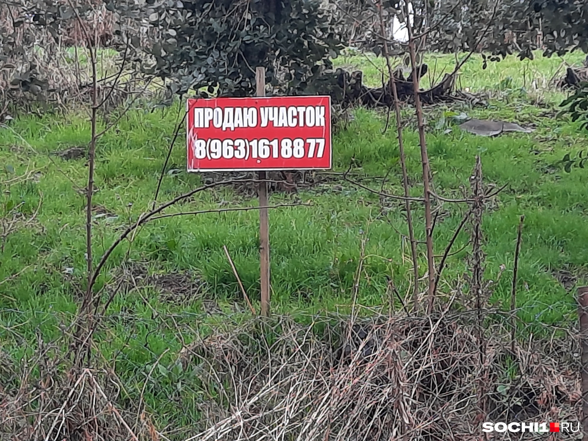 Сейчас покупателям участков в Сочи нужно быть очень внимательными Сейчас покупателям участков в Сочи нужно быть очень внимательными