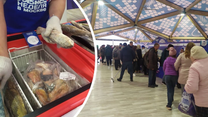 Дешевые морские ежи и очереди за морепродуктами. Как в Москве проходит «Рыбная неделя»