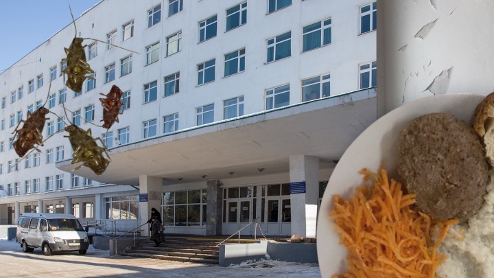 «Это издевательство»: родители пожаловались на РДКБ в Уфе. Они рассказали о картошке с волосами, голодных детях и тараканах в палатах