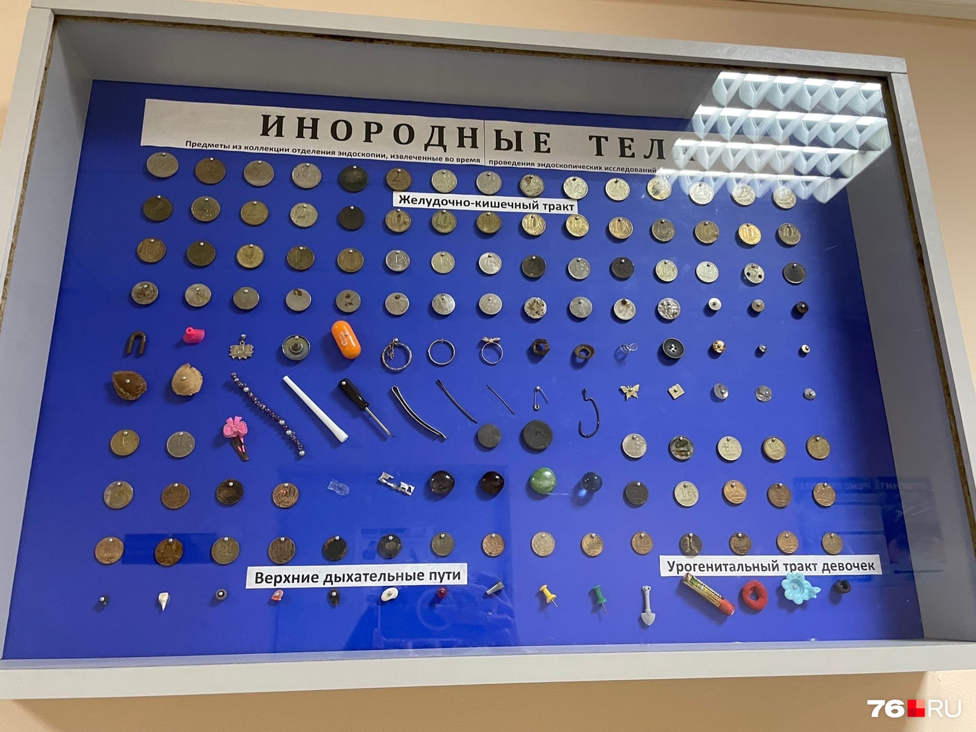 Монета — любимая игрушка маленьких детей Монета — любимая игрушка маленьких детей