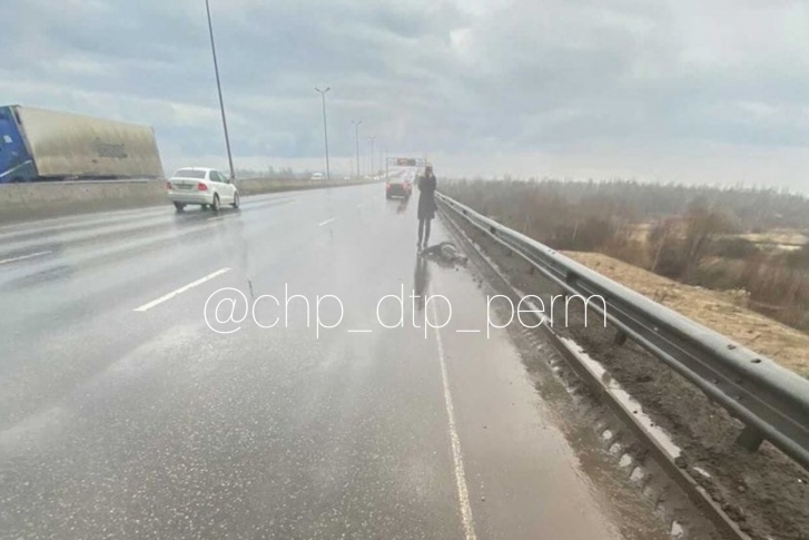 Виновник аварии оставил пострадавшего на месте ДТП Виновник аварии оставил пострадавшего на месте ДТП