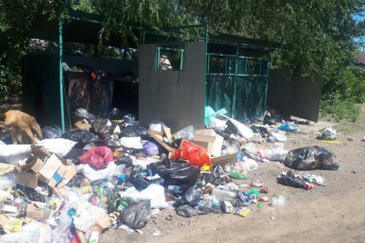 Контейнеры около дома на Лазо, 63 в Борзе переполнились, и люди стали бросать мусор около площадки — на него сразу сбежались собаки