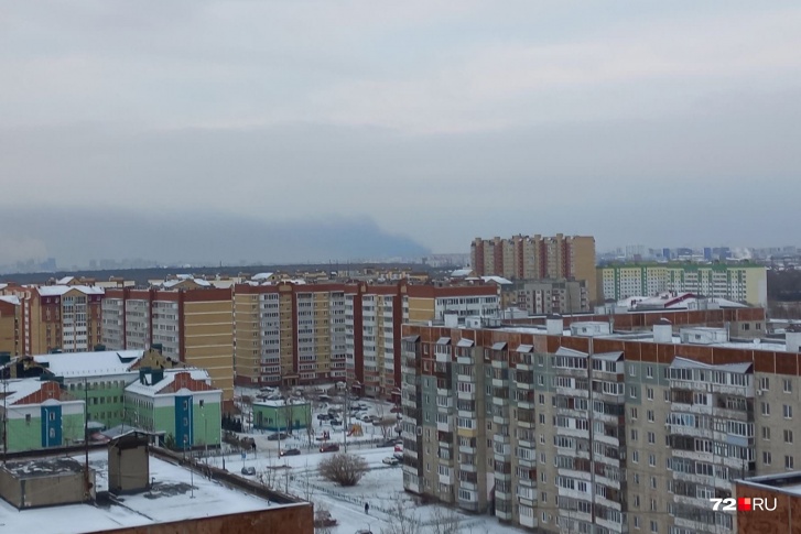 Из-за массовой ликвидации зараженных птиц в Тюмени периодически ощущается неприятный запах и заметен смог Из-за массовой ликвидации зараженных птиц в Тюмени периодически ощущается неприятный запах и заметен смог
