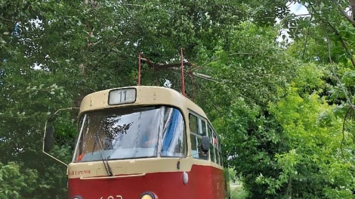В Екатеринбурге упавшая ветка парализовала трамвайное движение