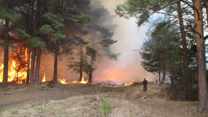 Площадь лесных пожаров в Приангарье выросла за сутки в 4 раза. Регион вышел на 2-е место в России