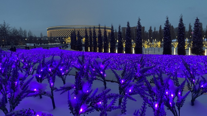 Парк «Краснодар» начали готовить к Новому году. Там появился искусственный светящийся шалфей