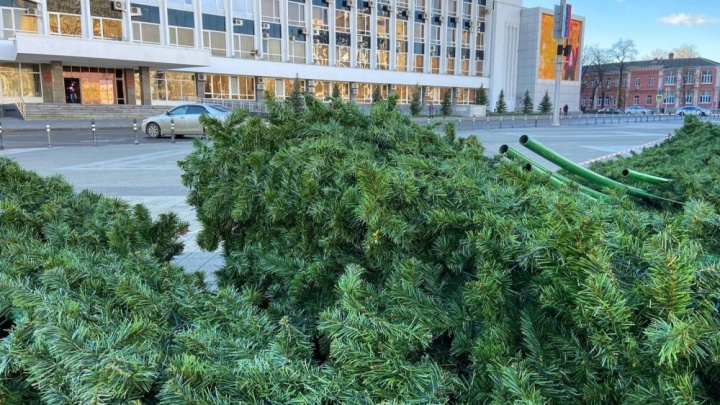 В Краснодаре начали устанавливать главную городскую елку