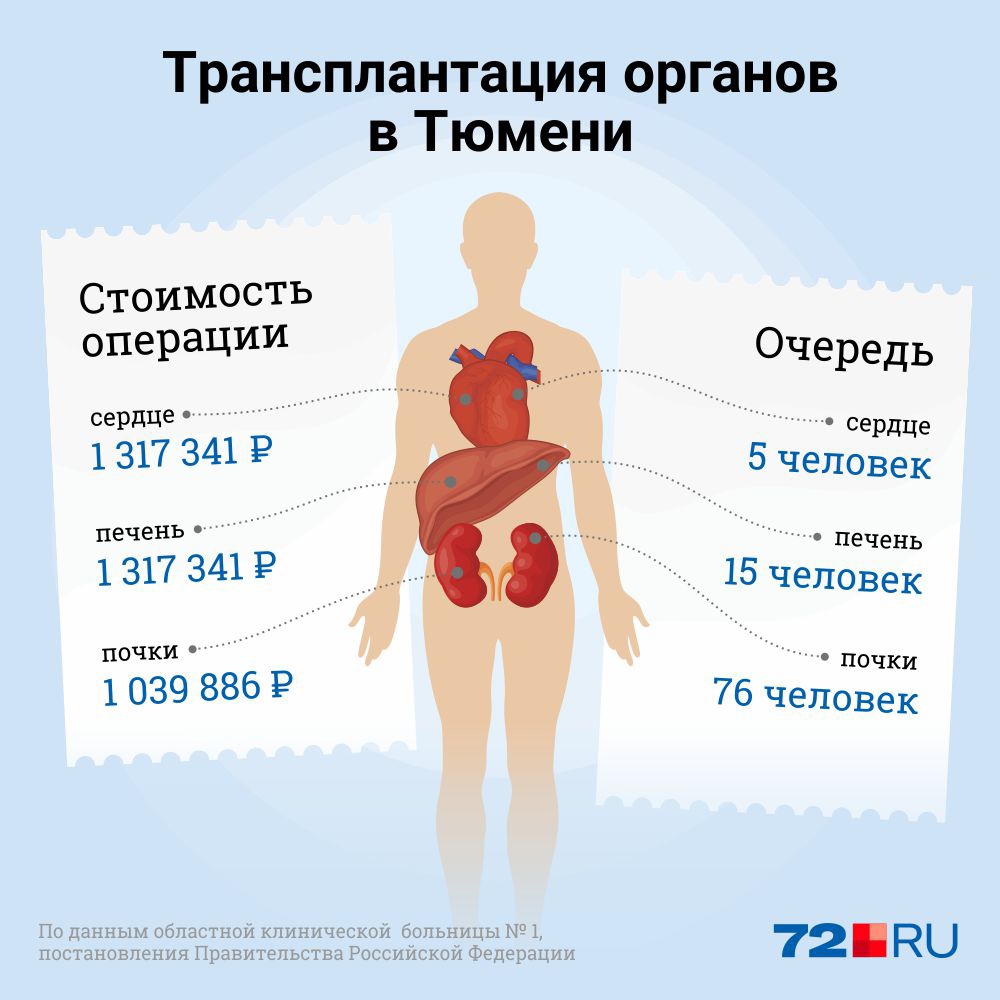 Пересадка почки в россии