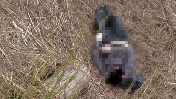 В Ярославской области нашли труп мужчины