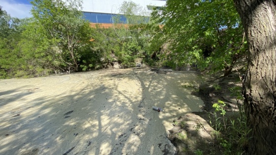 Мэрия Краснодара прокомментировала появление густой серой пены на реке Кубань