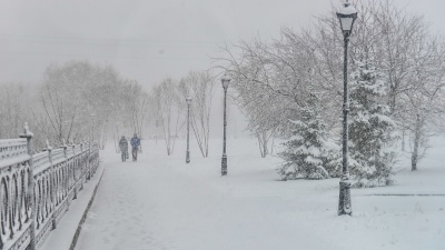 Оставайтесь дома! Свердловскую область завалит снегом, объявлено штормовое предупреждение