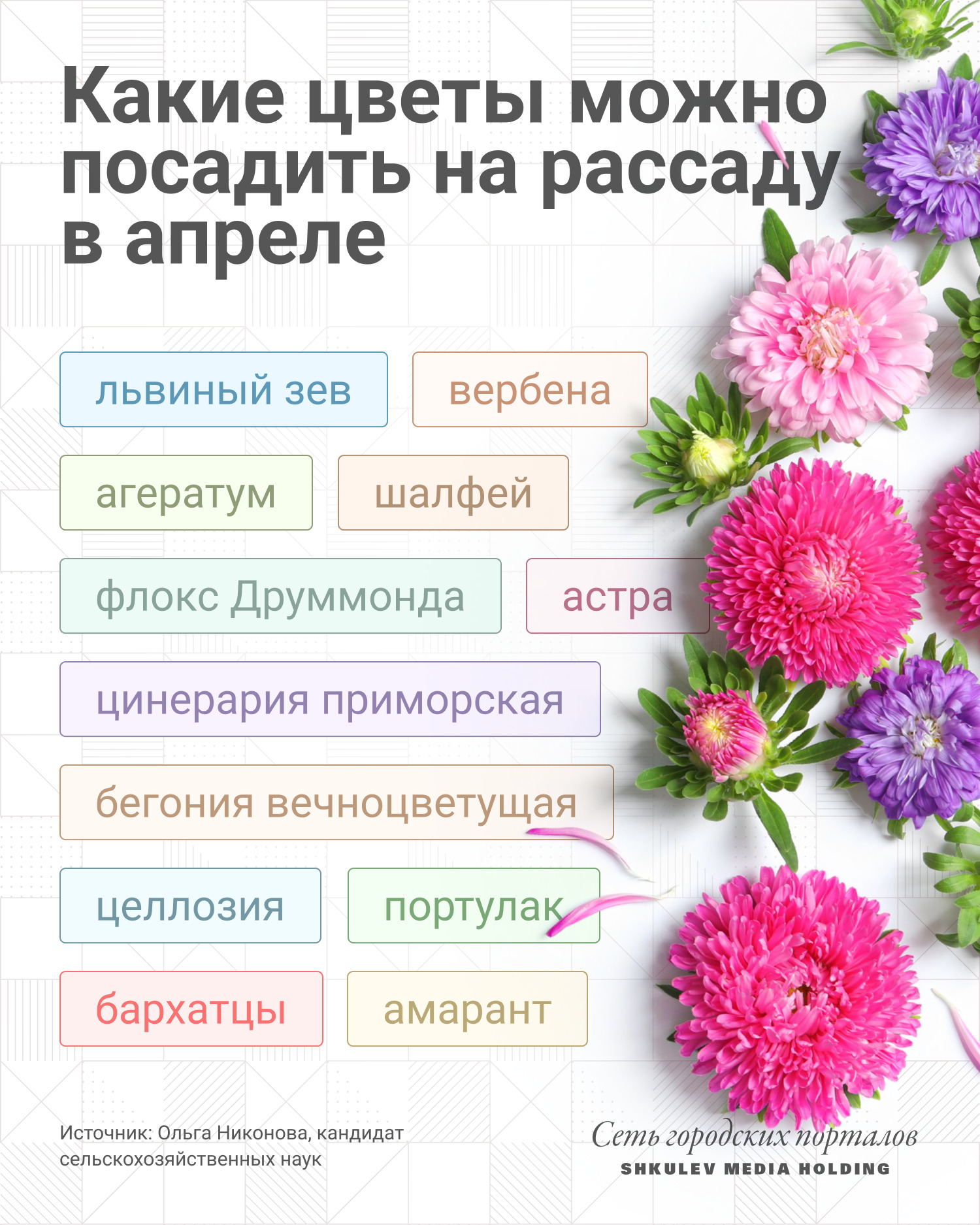Сажаем цветы на рассаду в апреле Сажаем цветы на рассаду в апреле