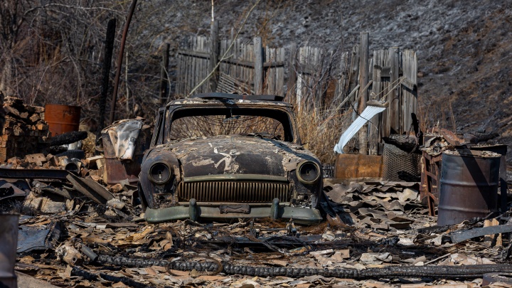 «Сосны словно спички горели»: как Красноярск переживает ландшафтные пожары