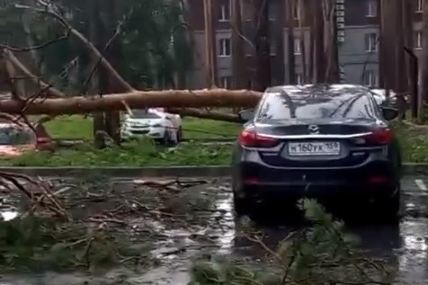 Дерево рухнуло на машину во время шквалистого ветра, о котором накануне предупреждали в МЧС