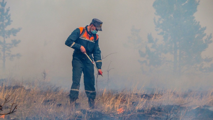 Президент РФ поддержал предложение главы Зауралья по борьбе с пожарами