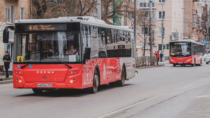 В Перми определят автобусных перевозчиков по 41 направлению на пять лет