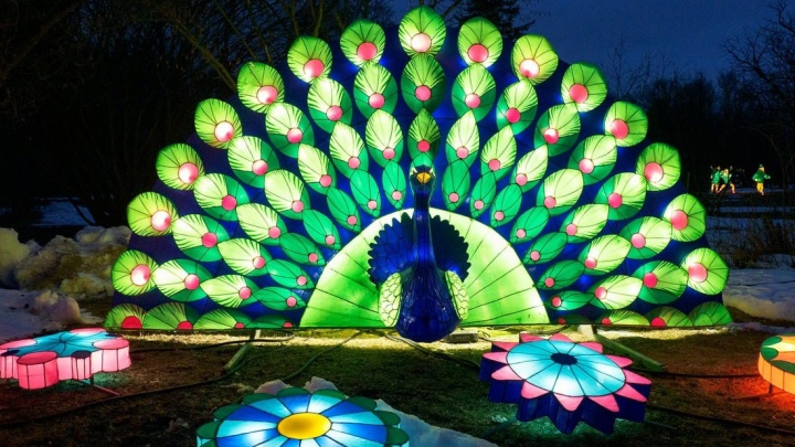 Петровский парк к Новому году украсят огромные светящиеся фигуры