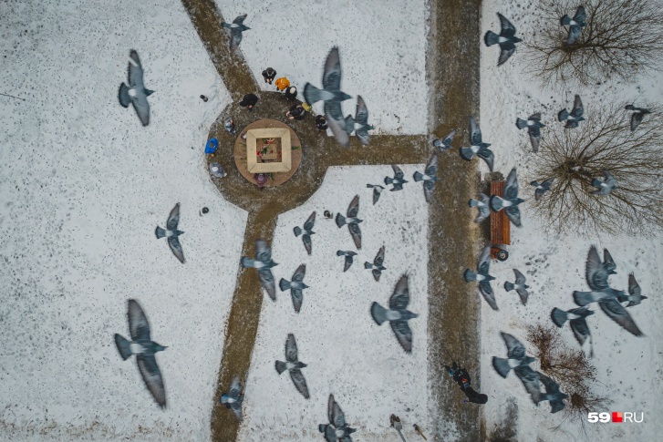 Голубь — символ души. Сегодня эти птицы долго кружили над памятником