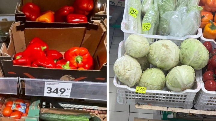 В магазине или на рынке? Где выгоднее закупаться овощами в Ярославле. Обзор