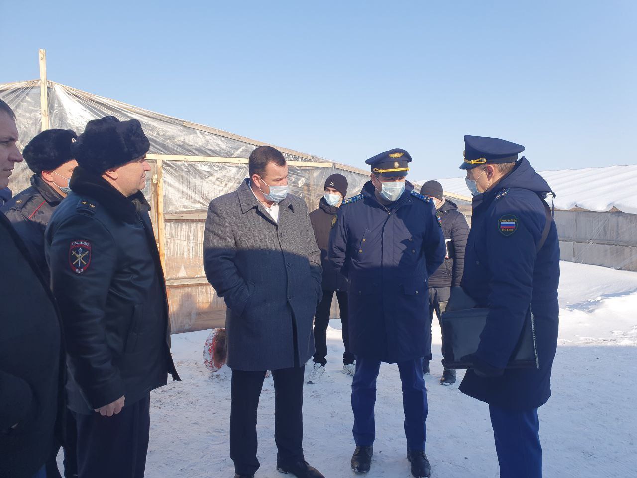Тепличное хозяйство обещают проверить со всех сторон Тепличное хозяйство обещают проверить со всех сторон