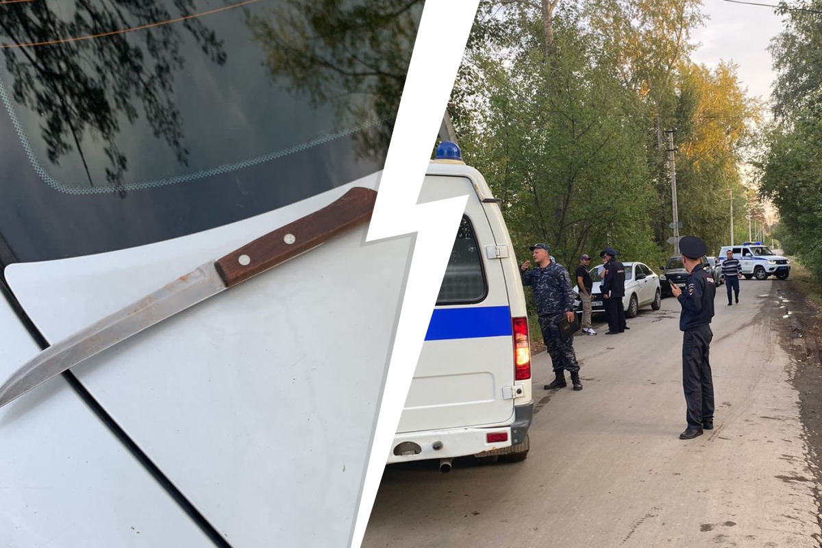 Десятиклассница, которую изрезали ножом под Екатеринбургом, попала в реанимацию. Подробности дела