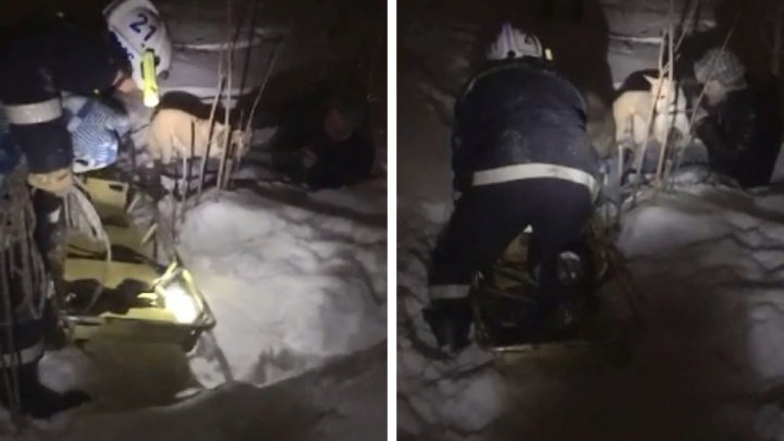 Новосибирец пошел гулять с собакой, застрял в глубоком снегу и чуть не замерз насмерть