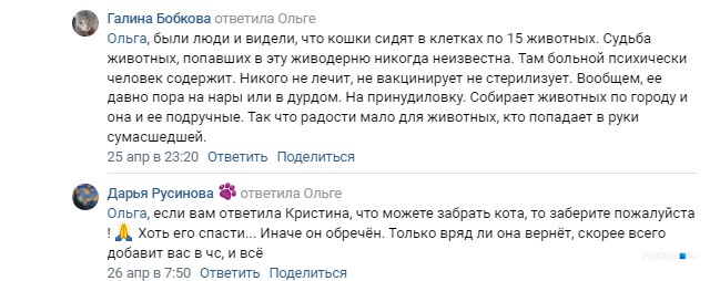 Вот такие комментарии писали пользователи «ВКонтакте» под постом о найденном Ольгой коте