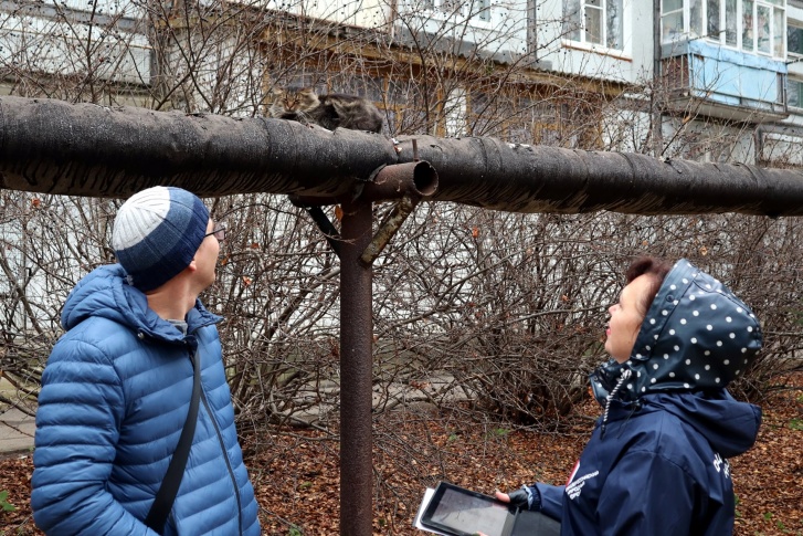 Активисты посчитали, сколько котиков смогут согреться этой зимой на неизолированных теплосетях Активисты посчитали, сколько котиков смогут согреться этой зимой на неизолированных теплосетях