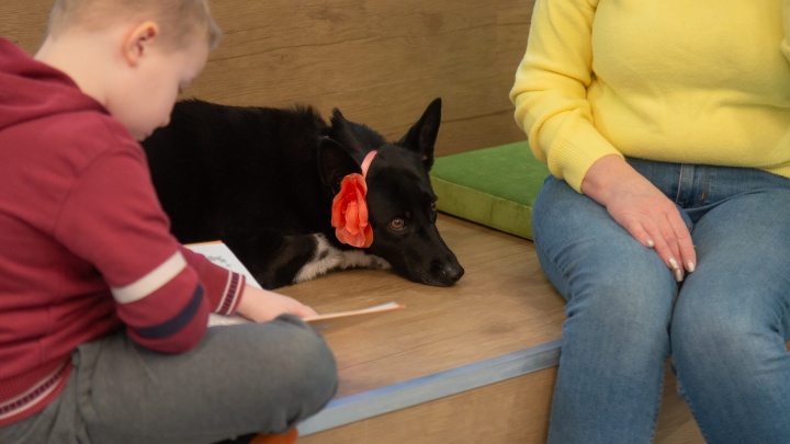 «Не поправляет и не делает замечаний»: в библиотеке Архангельска собака помогает детям читать