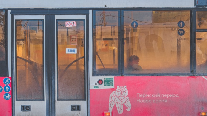 Московский перевозчик отказался от работы на всех межмуниципальных маршрутах в Прикамье